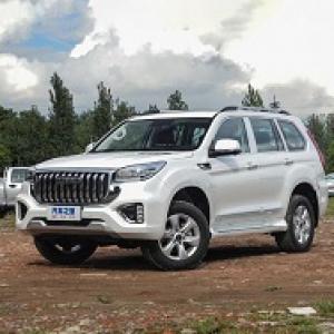 HAVAL H9